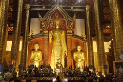 IMG_5854