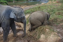 IMG_5859