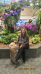 Bloemen Singapore airlines