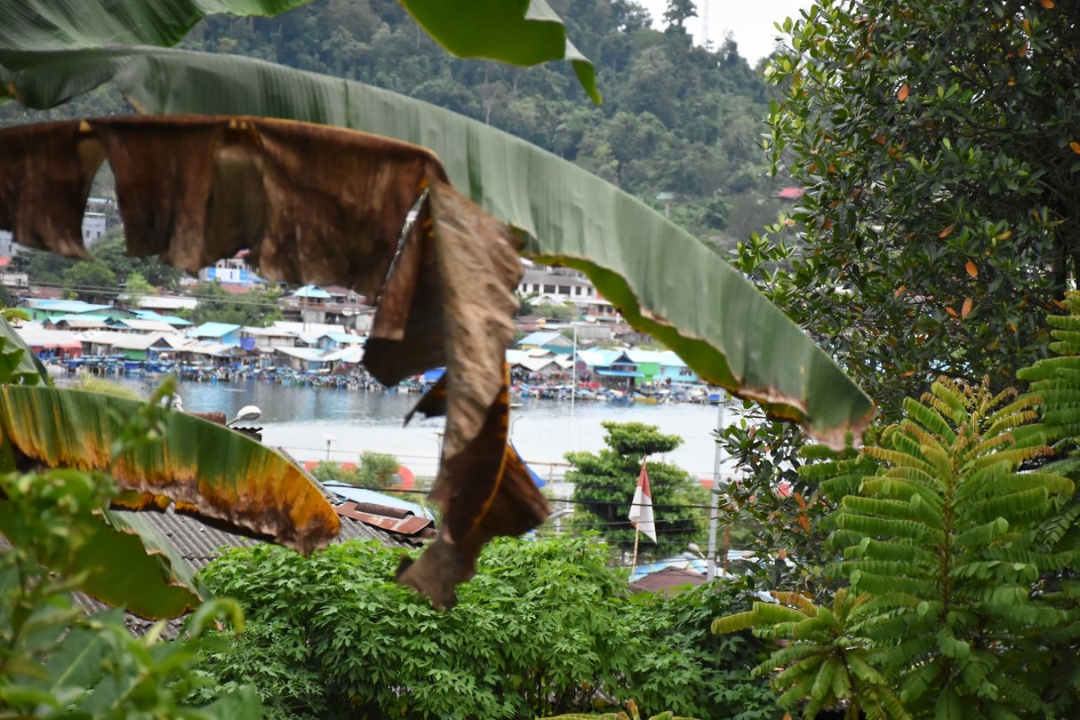 Manokwari Foto's Reislogger