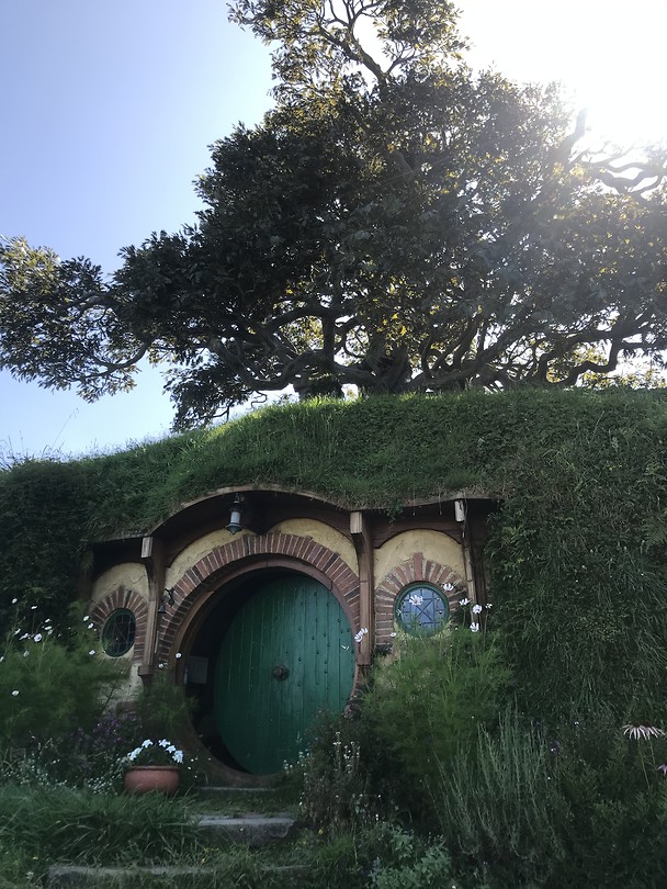 Matamata Reisverhaal Gezina Zijlstra’s reisblog