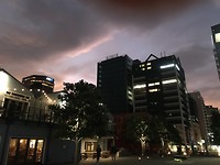 773175C9-8696-400B-BDF6-3E966AA2BF94
