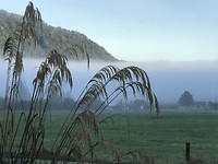 26F46F1B-C772-4A14-9912-58C916972A98