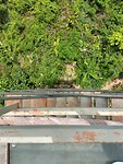 Tower view - kopie