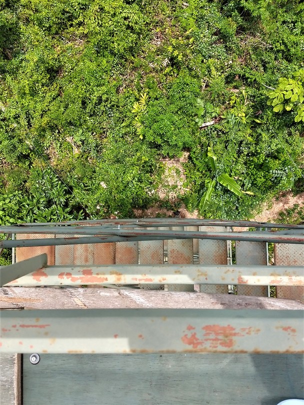 Tower view - kopie
