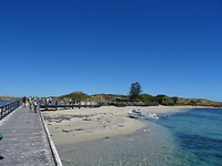 Penguin Island