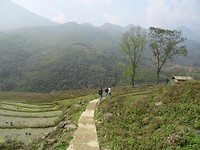 Wandeling