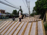 Rice paper factory