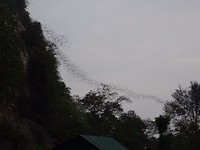 Batcave