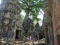 Tomb raider tempel