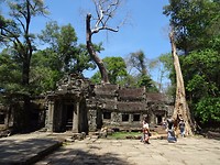 Tomb raider tempel