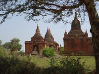 Bagan
