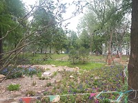 20190615_143639