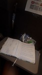 20190620_094228