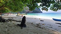 IMG-20221126-WA0012