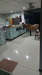 IMG-20221127-WA0005