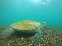 IMG-20221207-WA0087