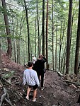 IMG-20240819-WA0000