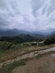 IMG-20250502-WA0005