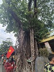 IMG-20250505-WA0008