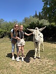 Corfu Donkey Rescue