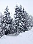 Neuastenberg