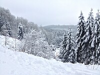 Neuastenberg
