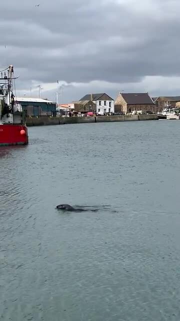 Howth