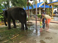 Hutsadin Elephant Foundation