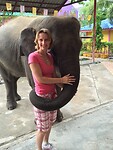 Hutsadin Elephant Foundation