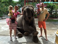 Hutsadin Elephant Foundation