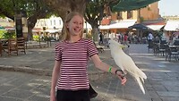 Platia Evreon Martiron | Rodos