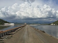 Ses Salines