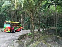 Wingfield Estate | Old Road Town | Saint Kitts