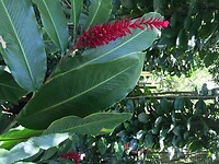 Parc des Mamelles