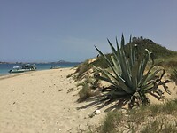 Marathonissi
