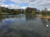 Fælledparken