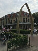 Schiermonnikoog