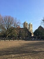 Münster