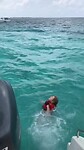 Turtle Reef