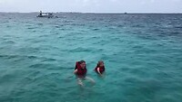 Turtle Reef