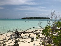 Dhiffushi
