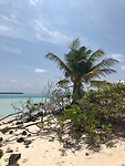 Dhiffushi