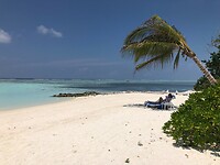 Anaamu Beach | Dhiffushi