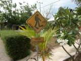 Divers Crossing
