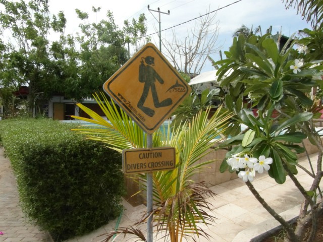 Divers Crossing