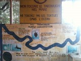 Turtle conservation center