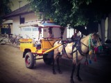 Vervoersmiddel op Gili T