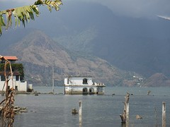 The waterlevel in the lake is getting higher, so there are many house swallowed by the lake