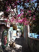 Cute little alleyways in San Marcos